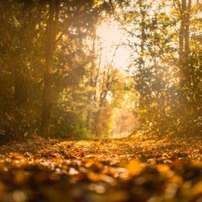 云开平台app最新版