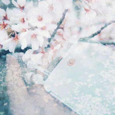 澳门新葡萄新京8883