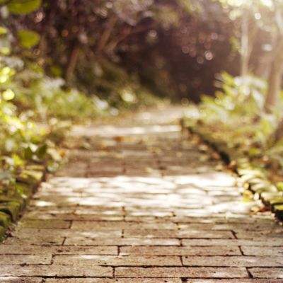 云平台app手机app下载